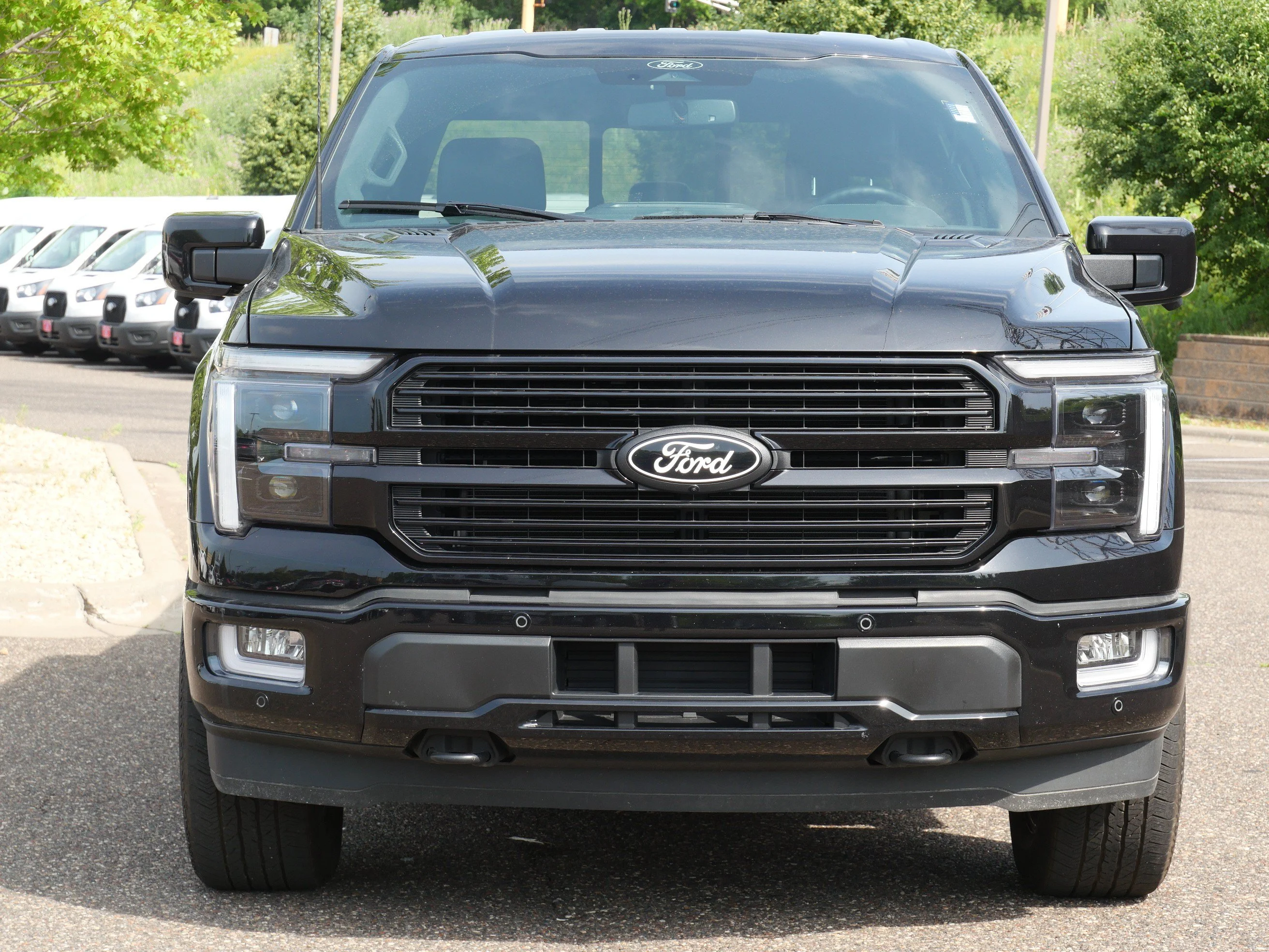 Used 2025 Ford F-150 Platinum with VIN 1FTFW7LD4SFB00036 for sale in Eden Prairie, Minnesota