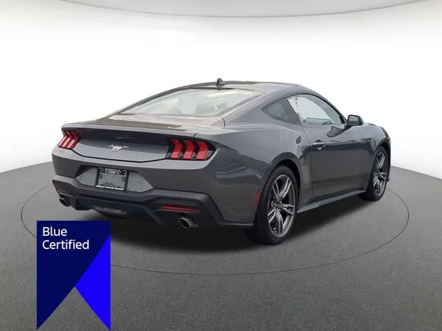 Used 2025 Gray Ford EcoBoost image 3