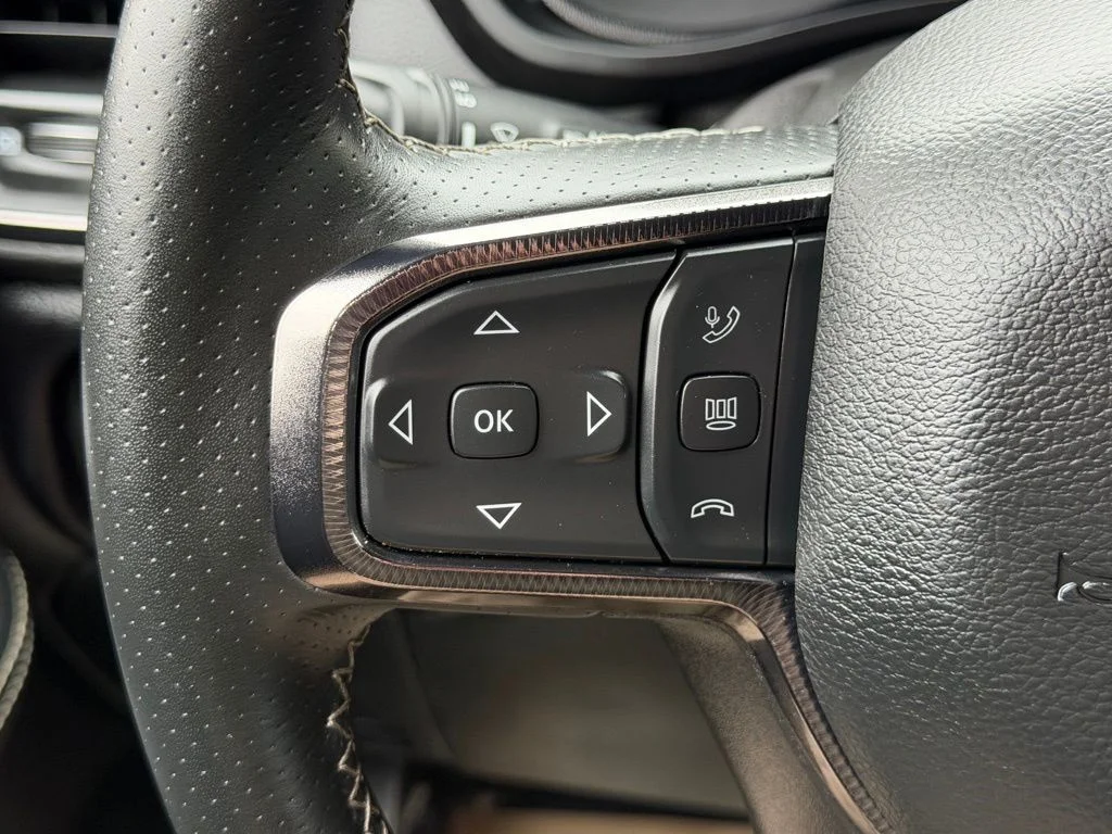 Used 2026 White Ram Rebel image 17