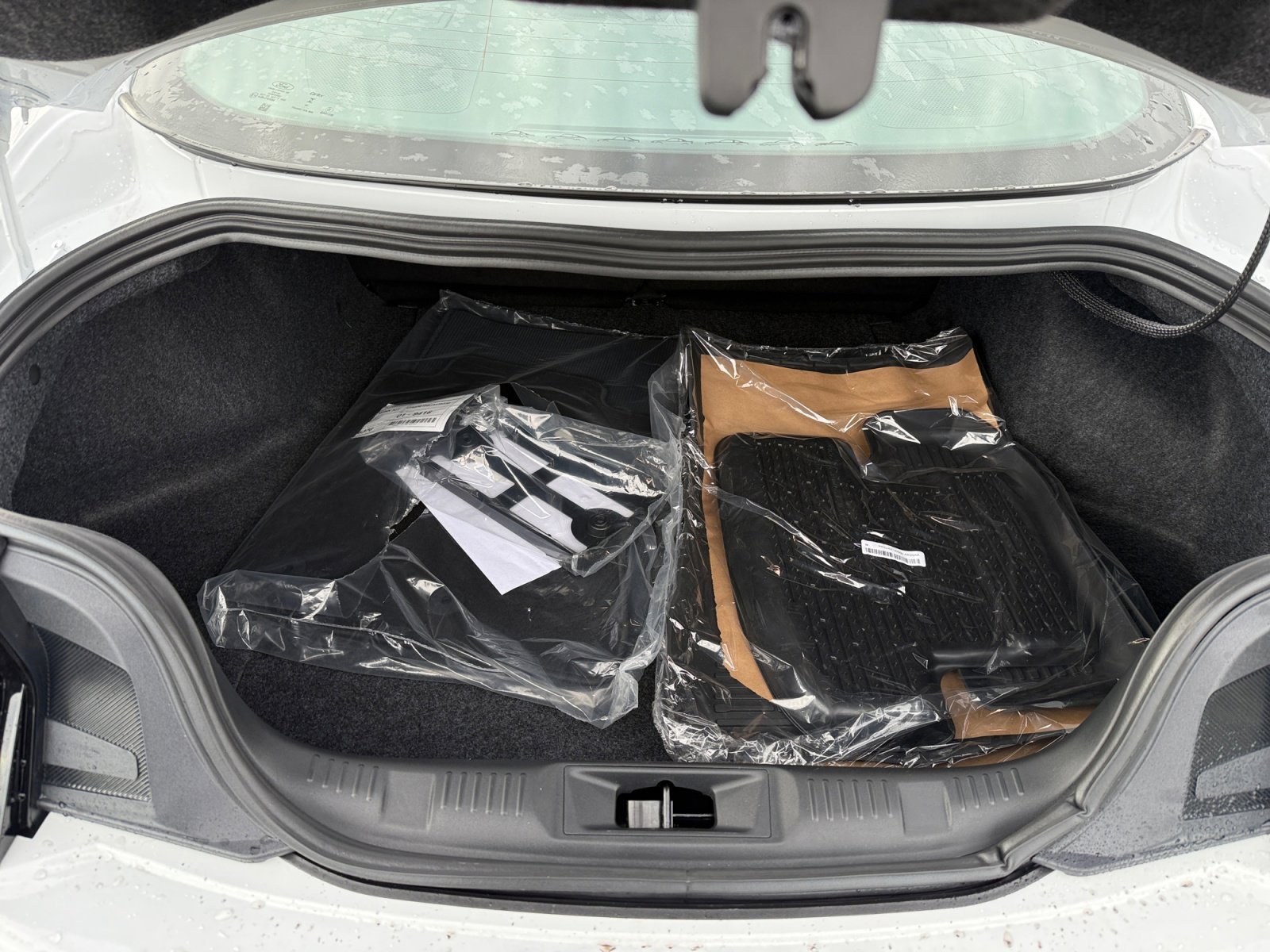 New 2026 Oxford White Ford EcoBoost® Fastback image 17