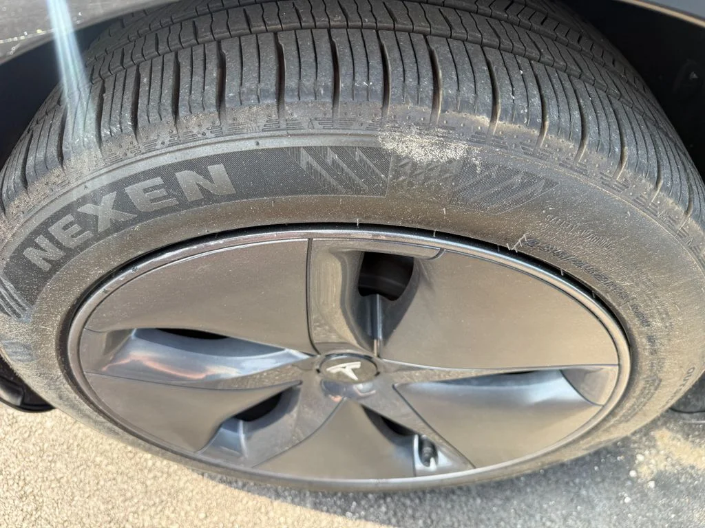 Used 2019 Black Tesla Standard Range Plus image 15