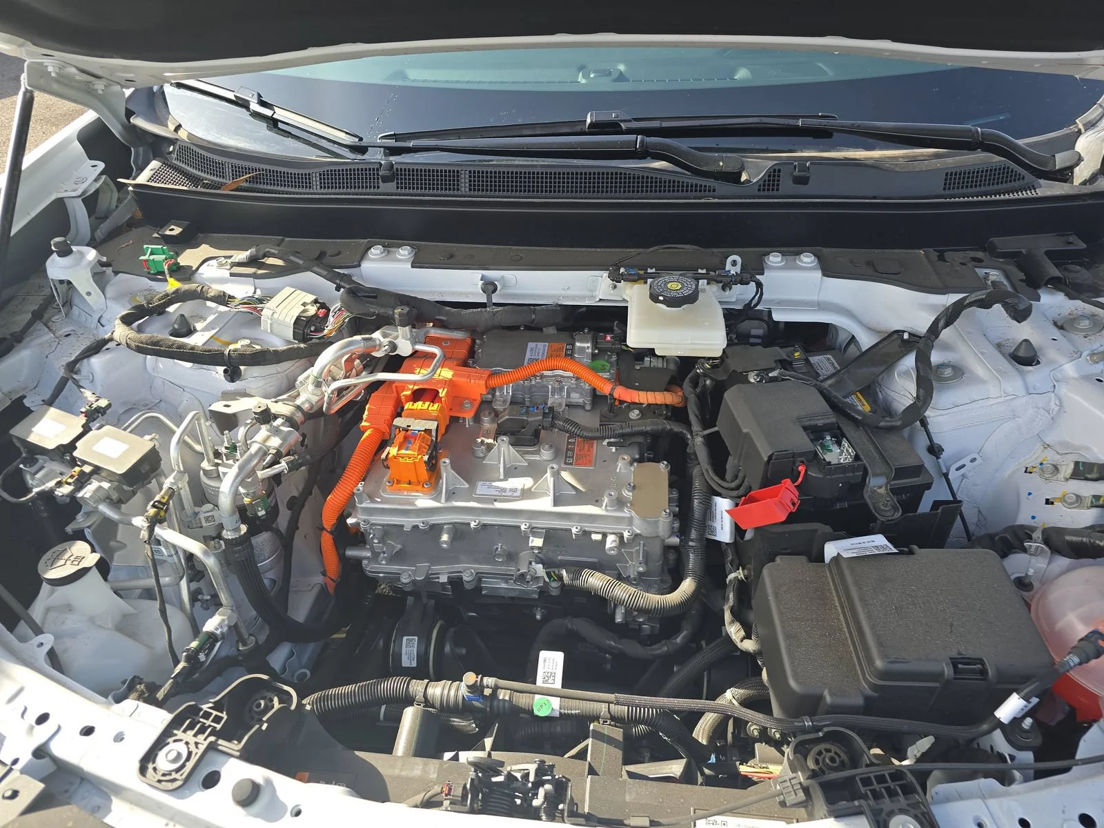 Used 2024 White Honda 1SB image 14