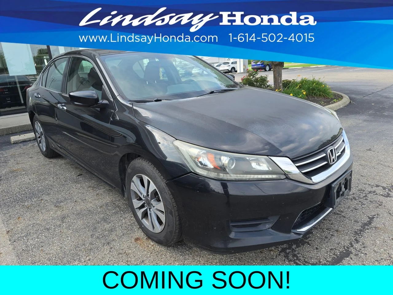 Used 2015 Crystal Black Pearl Honda LX image 2