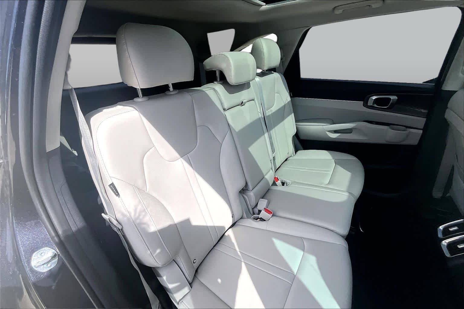 Used 2025 Panthera Metal Kia S image 19