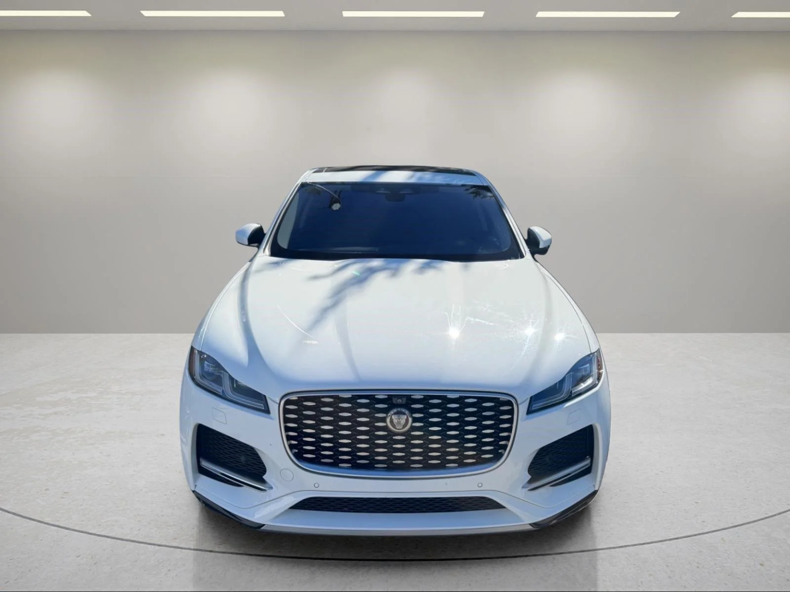 Used 2021 Fuji White Jaguar S image 23