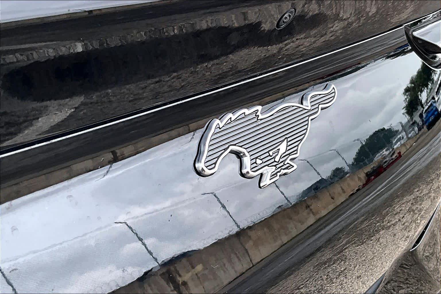 Used 2025 Shadow Black Ford Select image 32