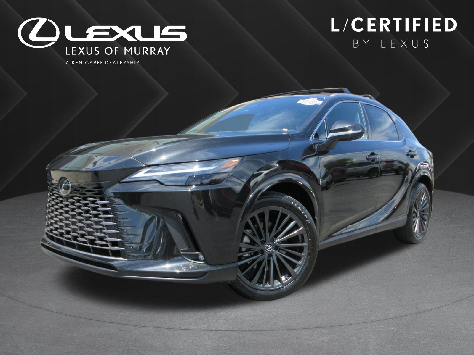 2025 Lexus RX 350h 350h Premium AWD's photo