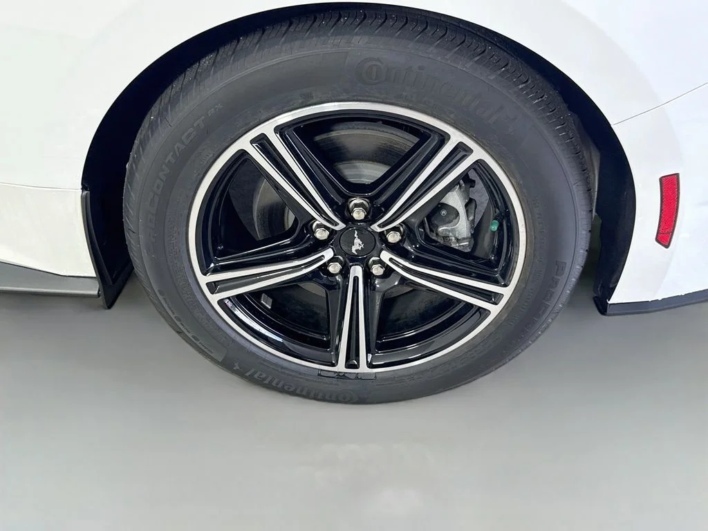 2025 Ford Mustang EcoBoost Fastback - Photo 29