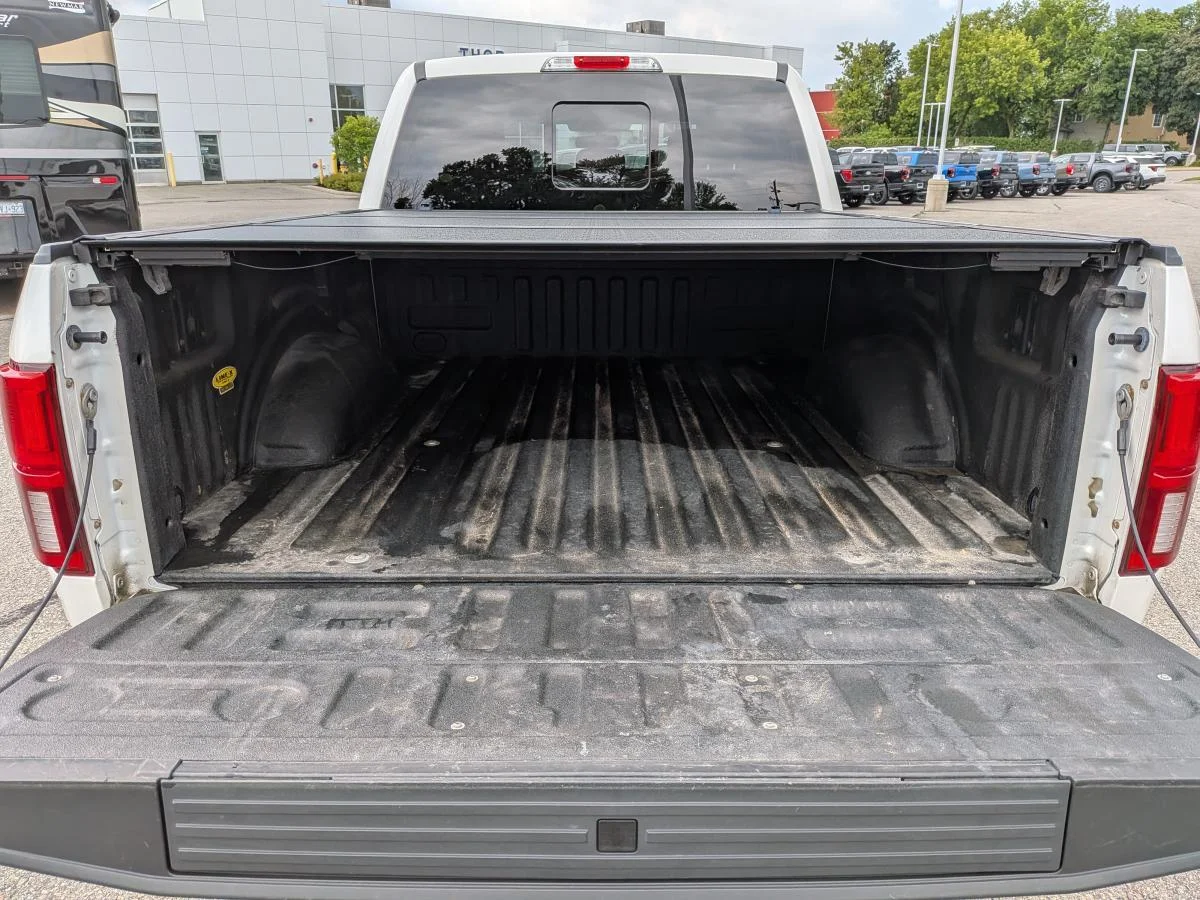 Used 2019 White Ford Platinum image 7