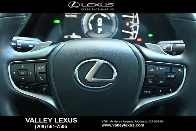 Certified Used 2024 MATADOR RED MICA Lexus 300h image 10