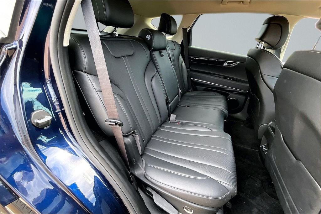 Used 2025 Blue Genesis 2.5T image 25