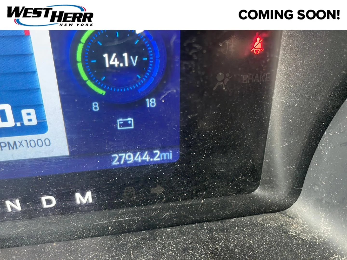 Used 2022 Cactus Gray Ford Big Bend image 1