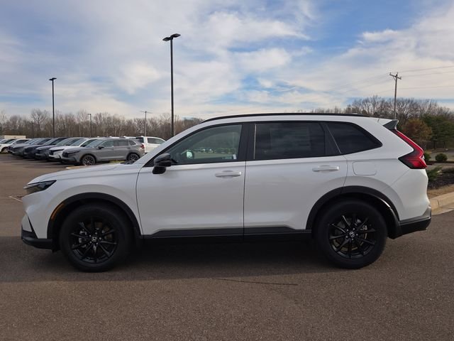 New 2026 Platinum White Pearl Honda Sport-L image 2