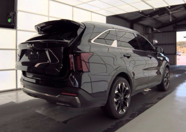 Used 2025 Panthera Metal Kia SX image 5