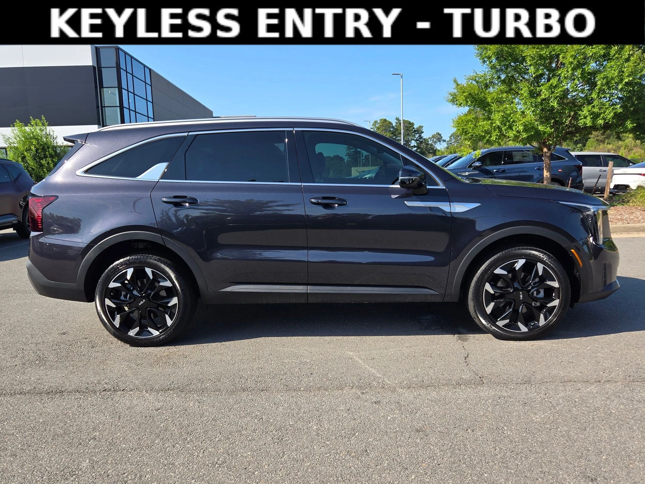 Used 2025 Panthera Metal Kia EX image 8