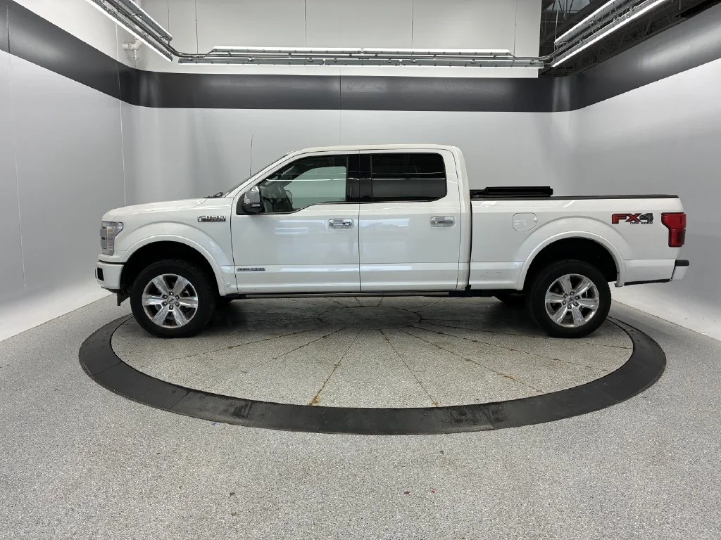 Used 2019 Ford F-150 Platinum with VIN 1FTFW1E15KFC61608 for sale in Coon Rapids, Minnesota