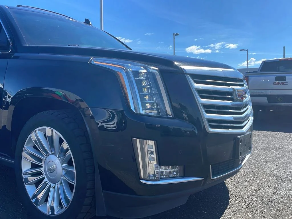 2015 Cadillac Escalade ESV Platinum - Photo 30