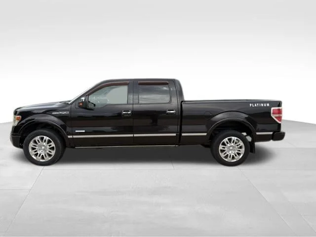 Used 2013 Brown Ford Platinum image 7