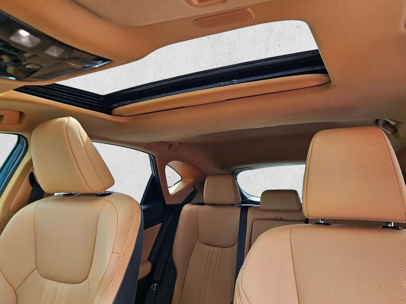 Certified Used 2025 Caviar Lexus NX 250 Premium image 15