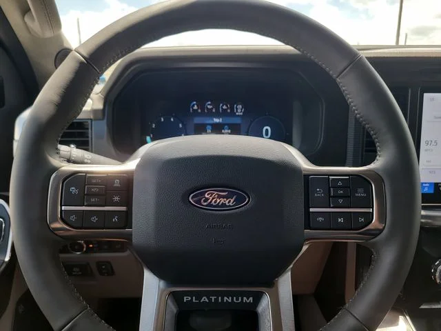 New 2026 Black Metallic Ford Platinum image 32