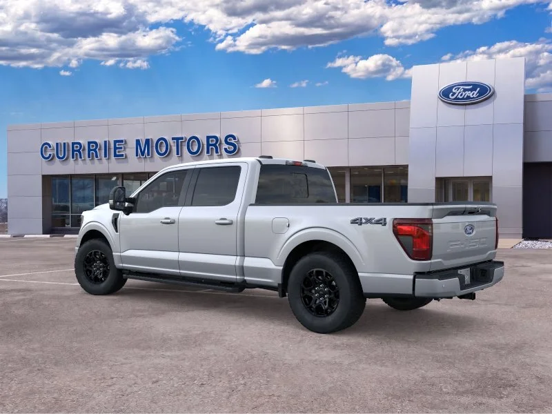 New 2026 Iconic Silver Metallic Ford LIFTED image 24