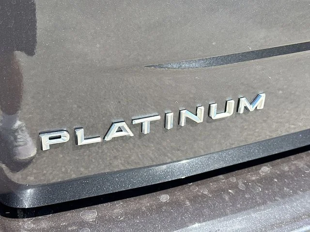 New 2026 Gray Ford Platinum image 19
