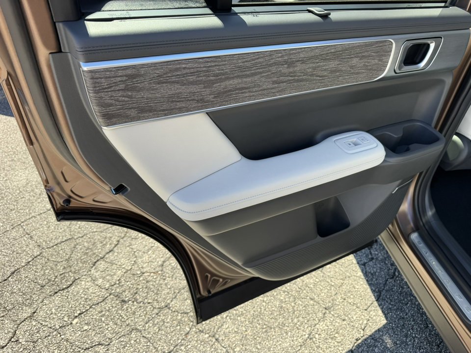 New 2026 Earthy Brass Matte Hyundai Calligraphy image 13