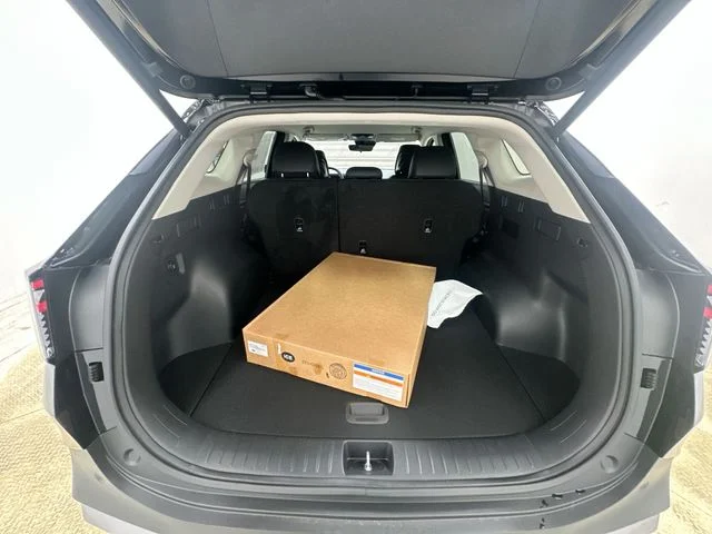 New 2026 Ebony Black Kia EX image 20