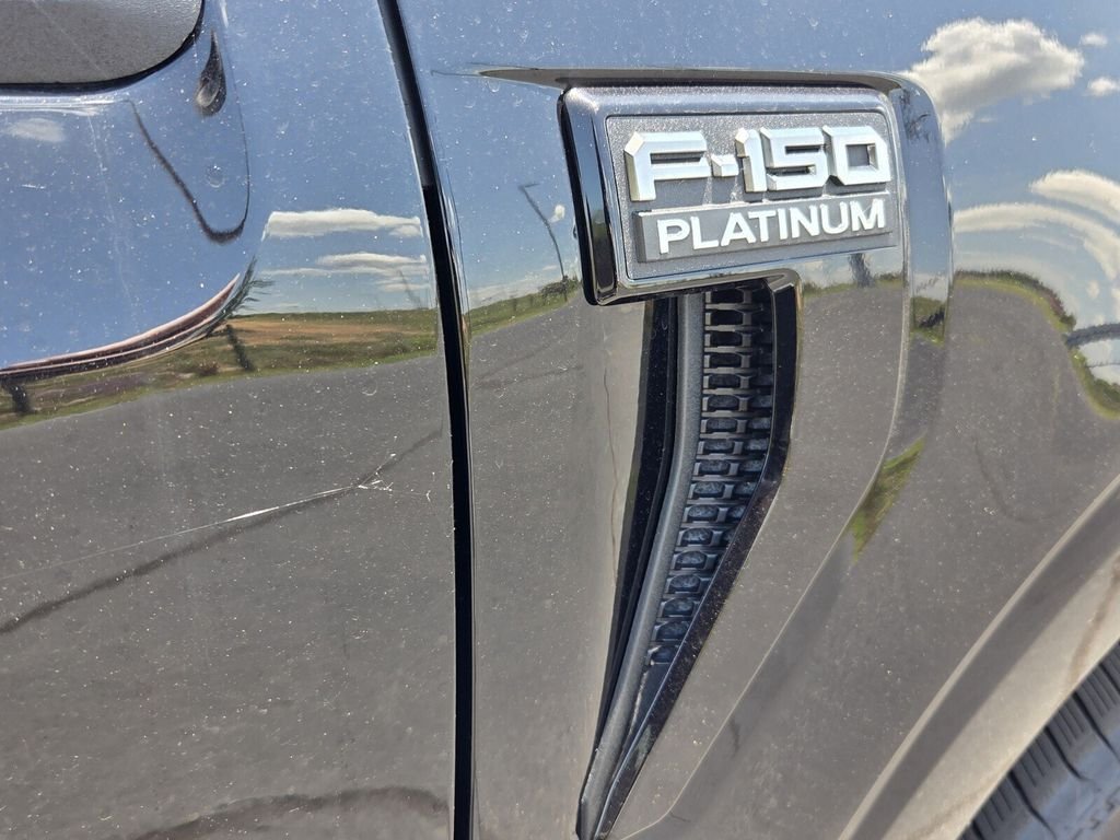 Used 2025 Black Ford Platinum image 15