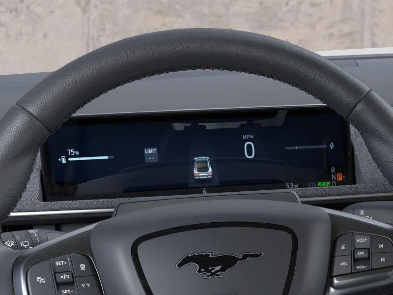 New 2026 Desert Sand Ford Premium image 13