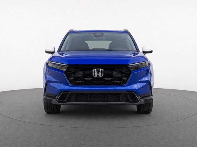 Used 2024 Blue Honda Sport image 5