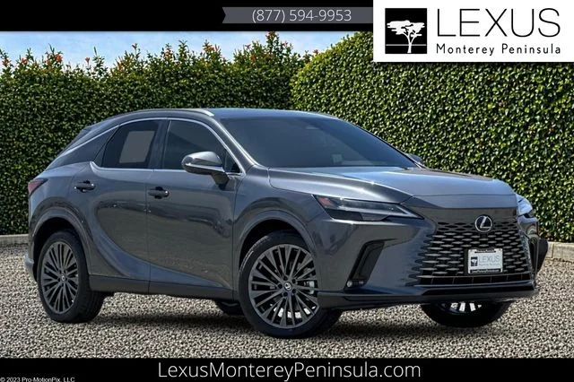 New 2026 Cloudburst Gray Lexus LUXURY image 1