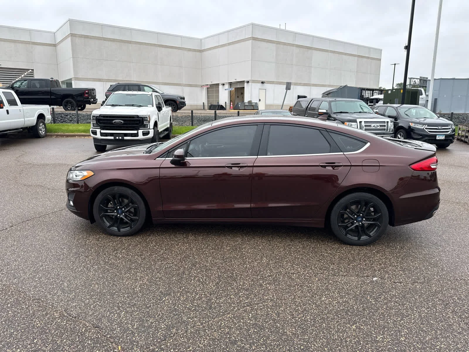 Used 2019 Rich Copper Metallic Tinted Clearcoat Ford SE image 4