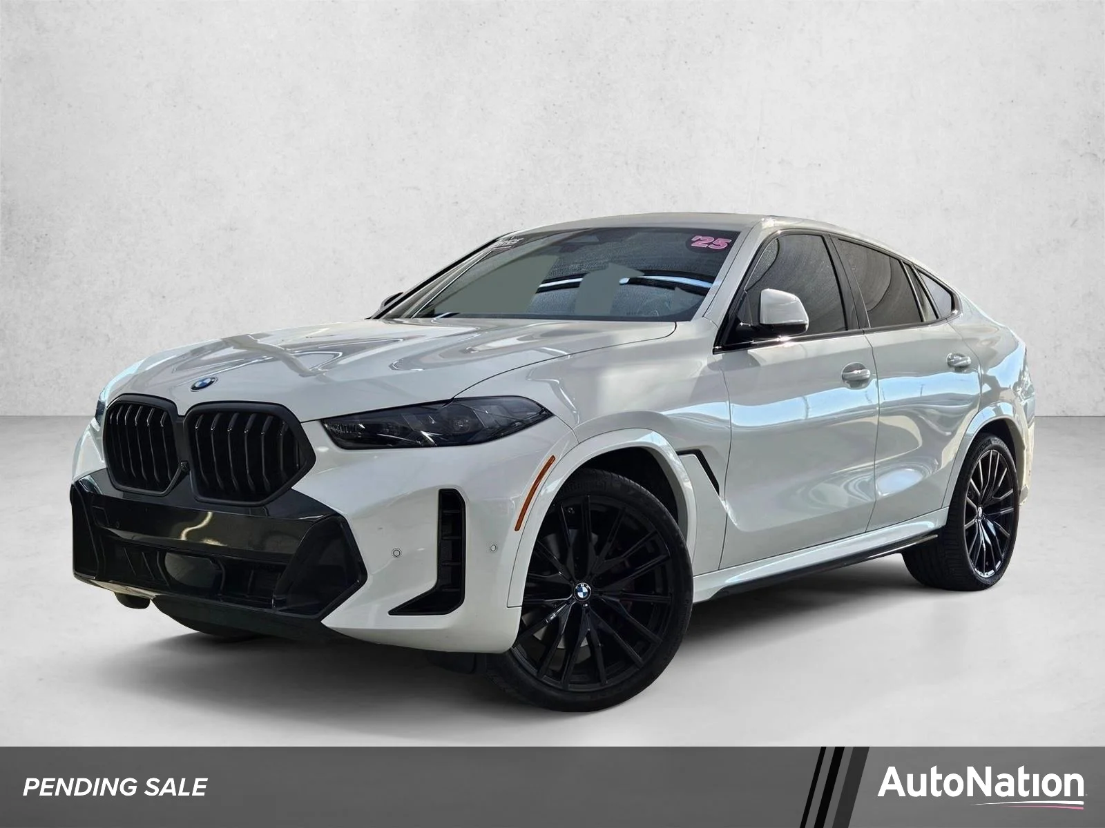 2025 BMW X6 xDrive40i's photo