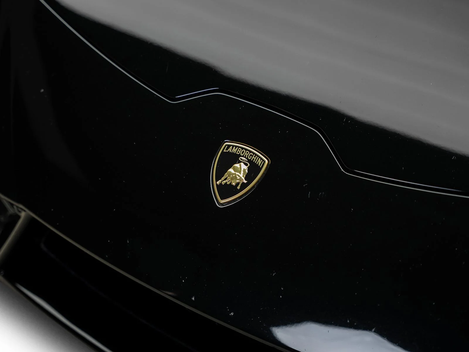 Used 2017 Black Lamborghini  image 6