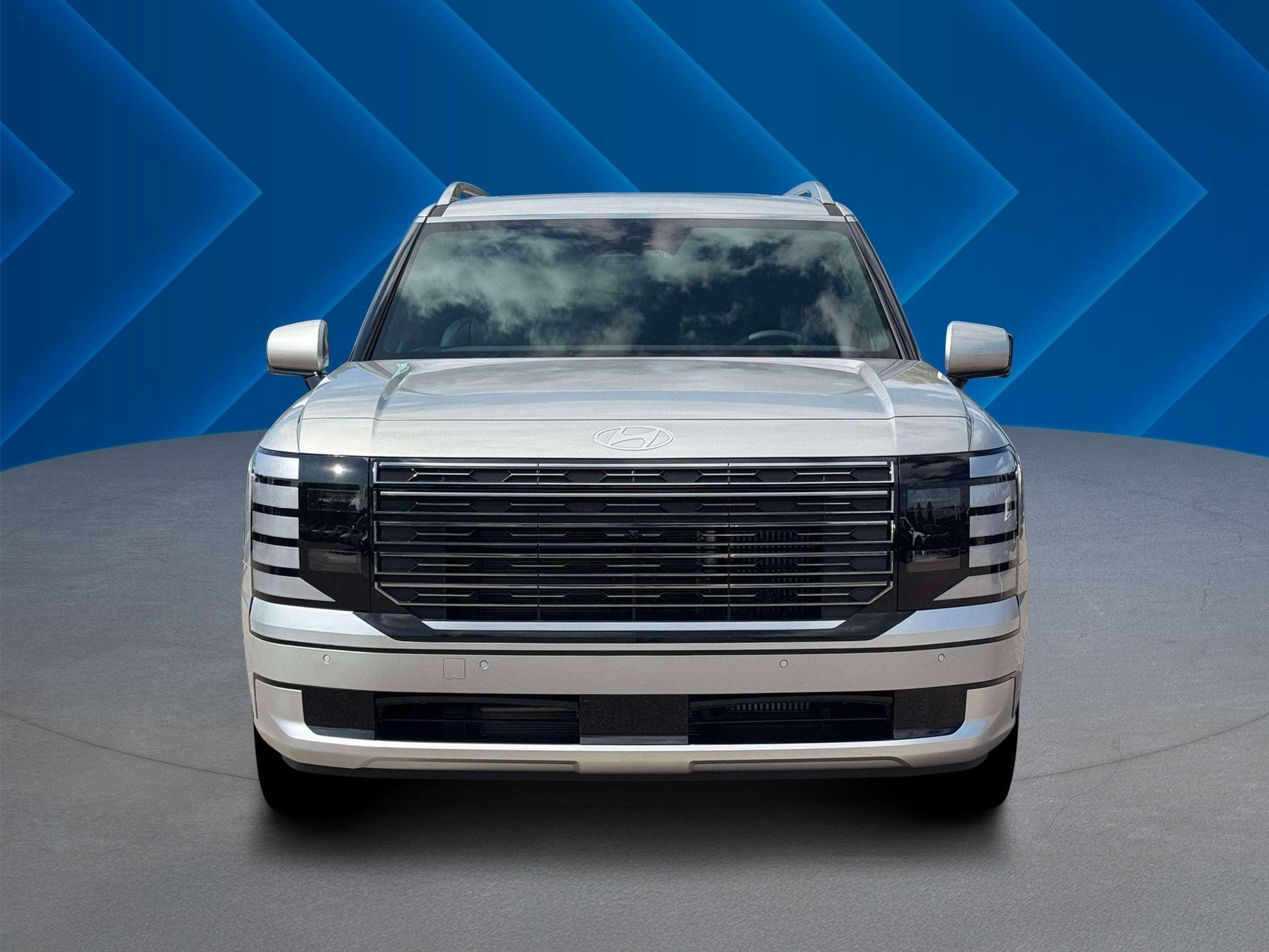 New 2026 Typhoon Silver Metallic Hyundai Calligraphy image 13