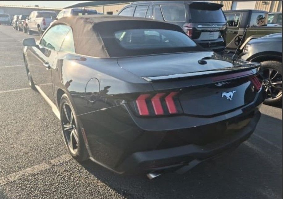 Used 2025 Black Ford EcoBoost Premium image 2