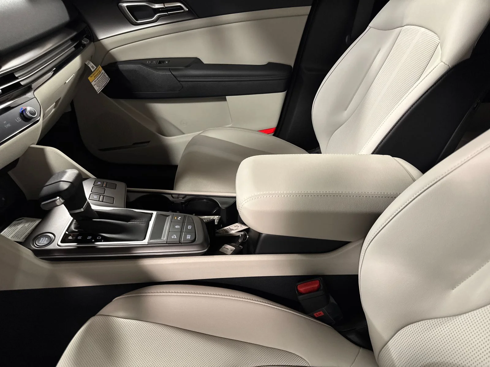 New 2026 Panthera Metal Gray Kia EX image 21