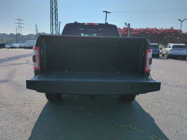 Used 2023 Black Ford Platinum image 32