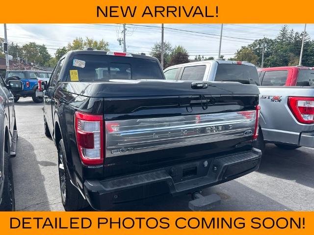 Used 2023 Black Metallic Ford Limited image 8