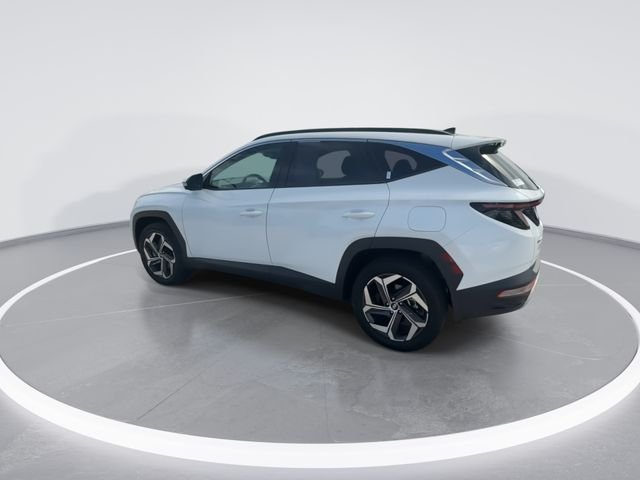 Used 2024 White Hyundai Limited image 6
