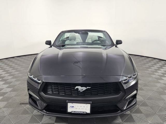 2024 Ford Mustang EcoBoost Premium - Photo 8