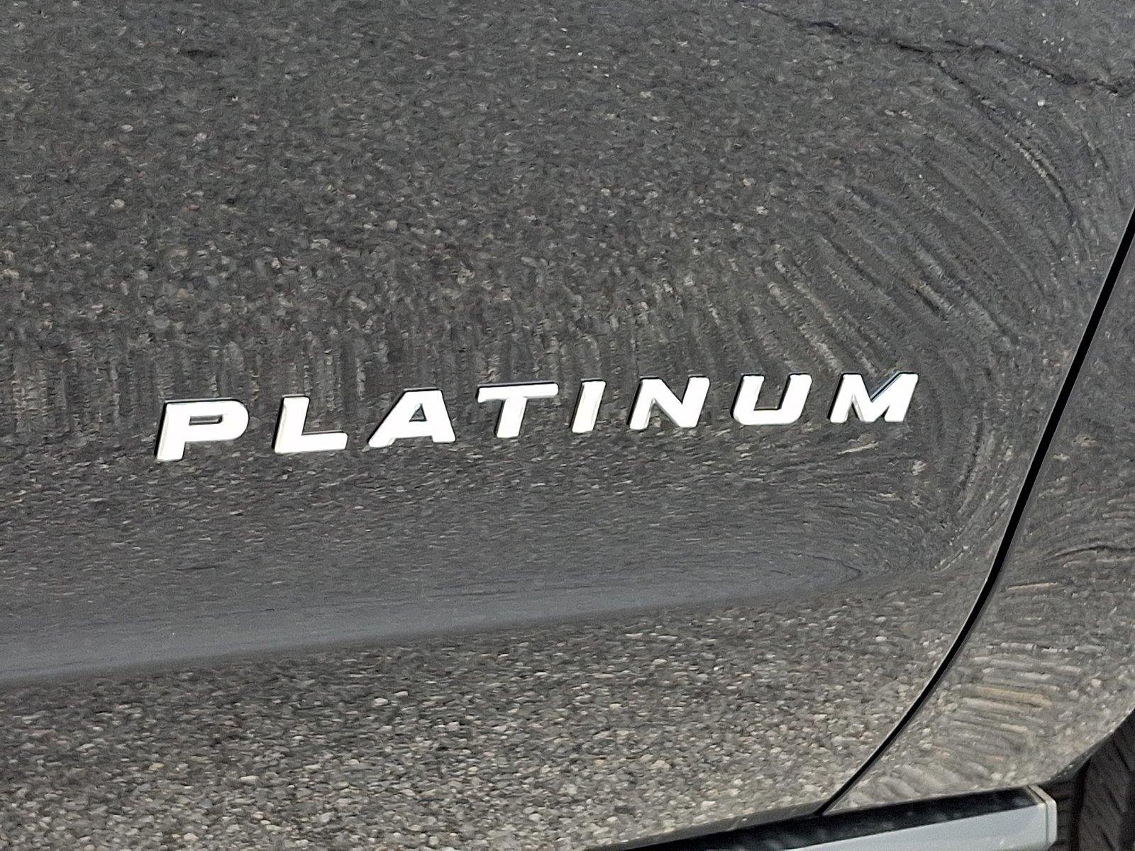 New 2027 Agate Black Metallic Ford Platinum image 20