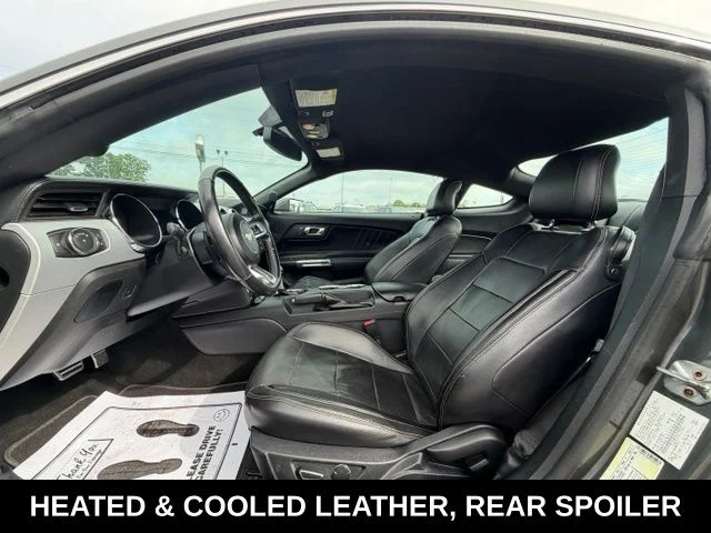 Used 2016 Ford Mustang EcoBoost Premium with VIN 1FA6P8TH4G5259163 for sale in Union City, TN