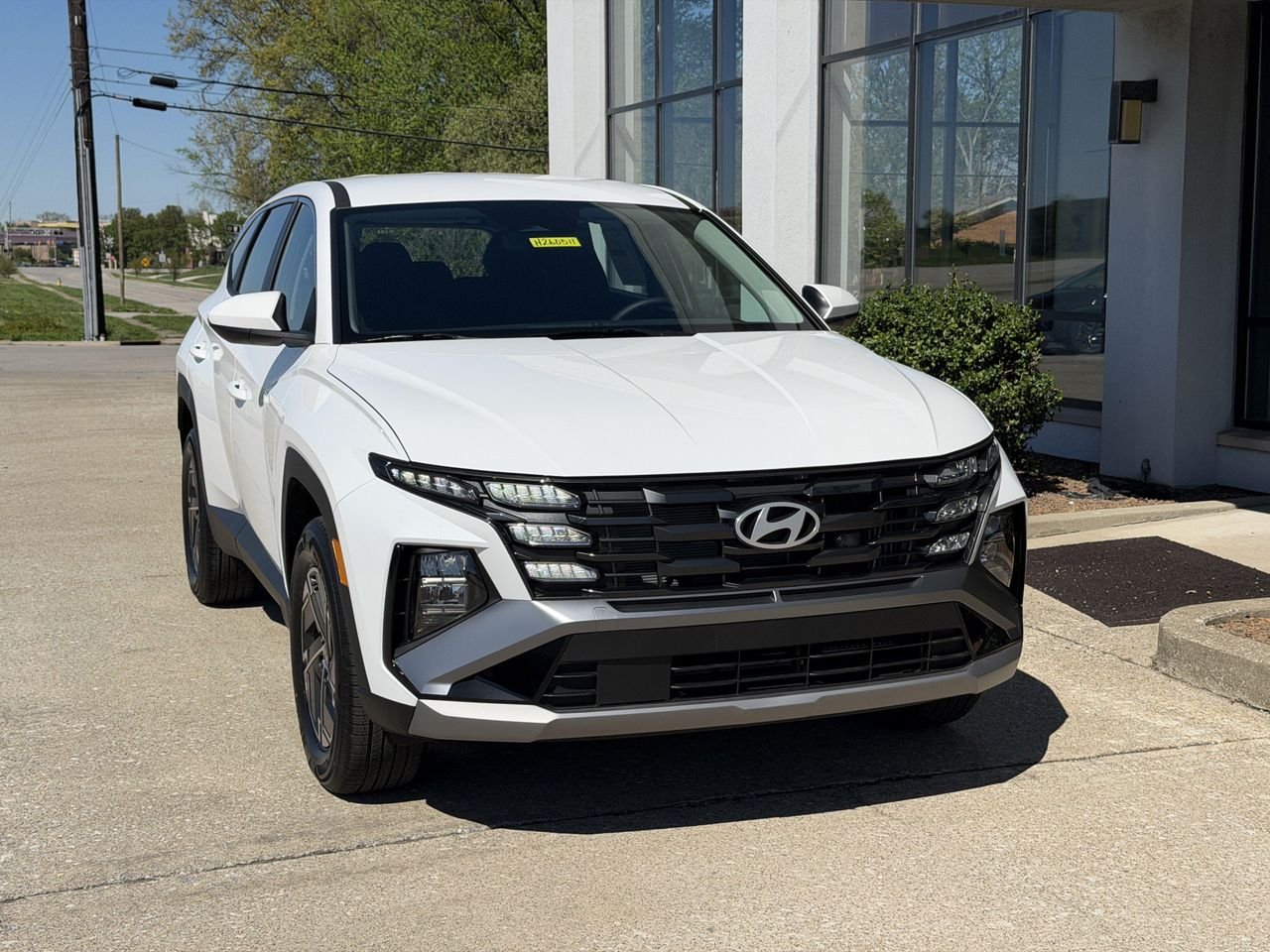 New 2026 Creamy White Pearl Hyundai Blue image 19