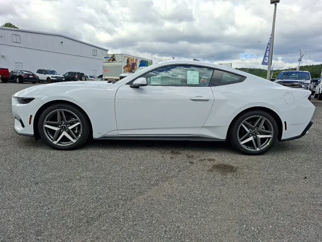 New 2026 Oxford White Ford EcoBoost® Fastback image 6