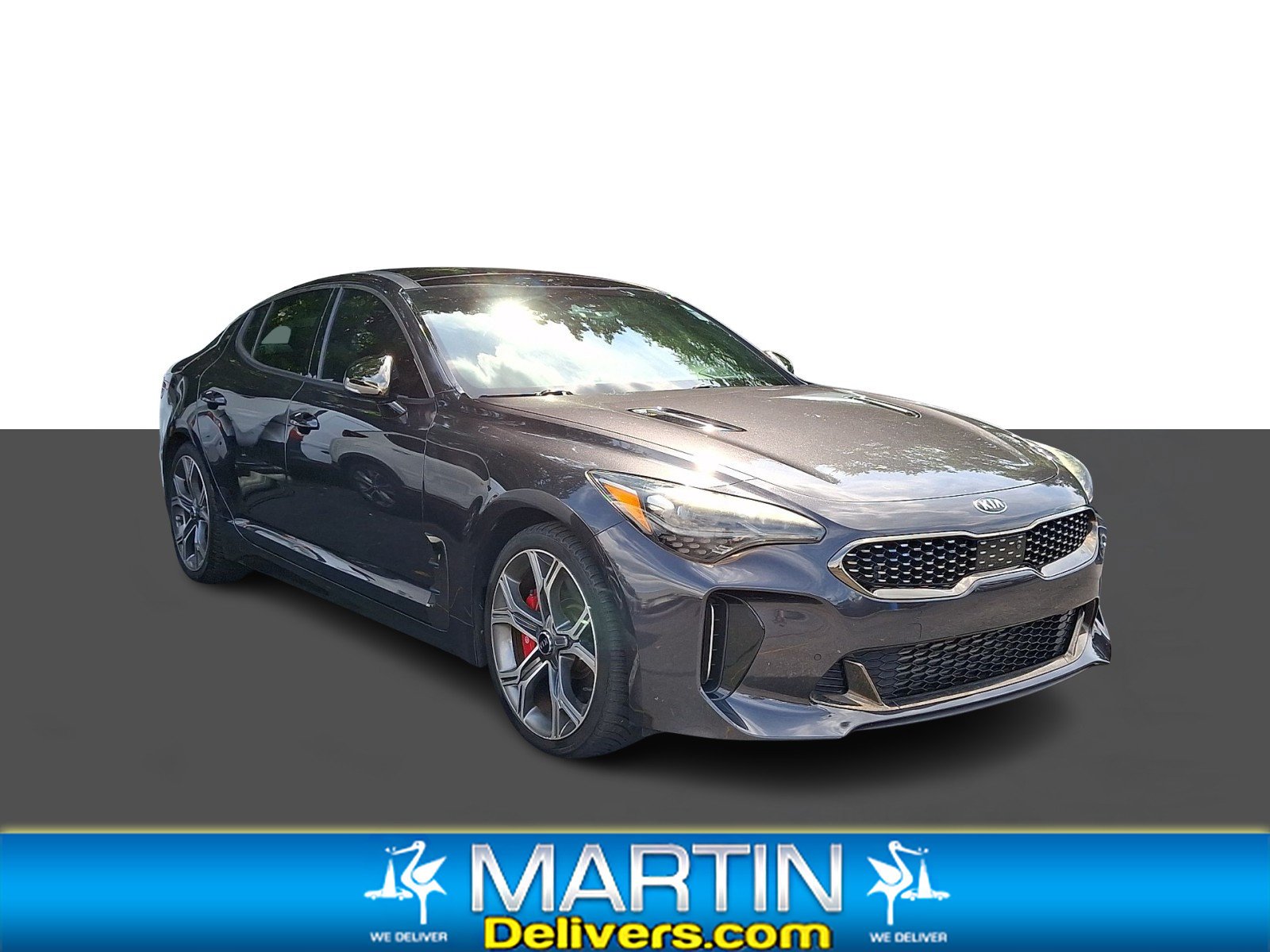 Used 2019 Panthera Metal Kia GT2 image 1
