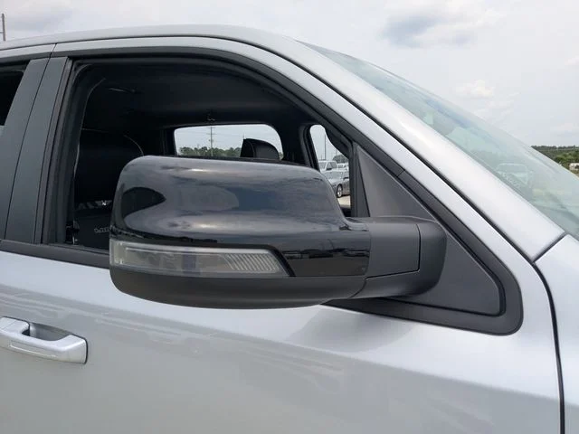 New 2026 Silver Zynith Exterior Paint RAM Laramie image 11