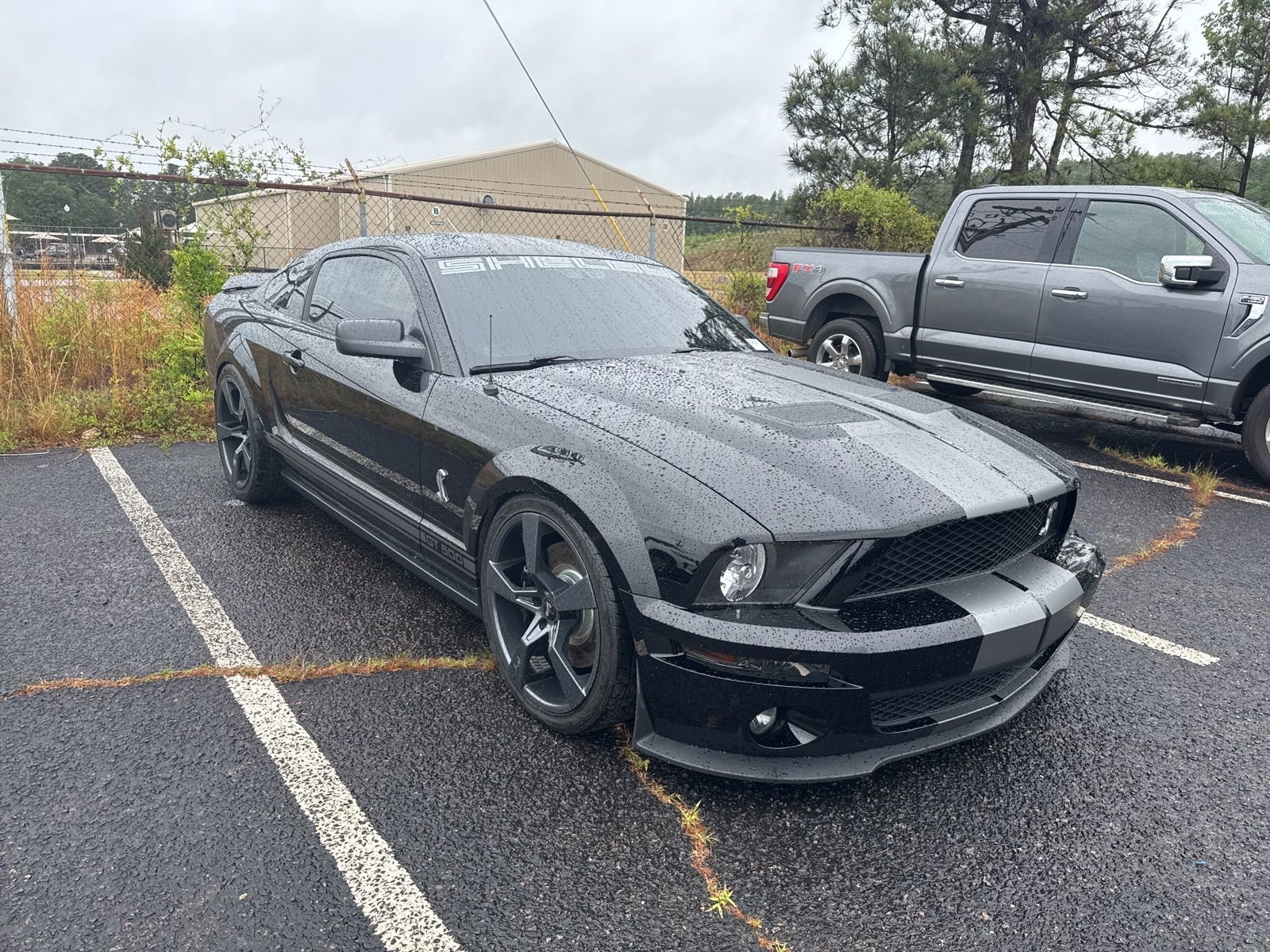 2009 Ford Mustang Shelby GT500's photo