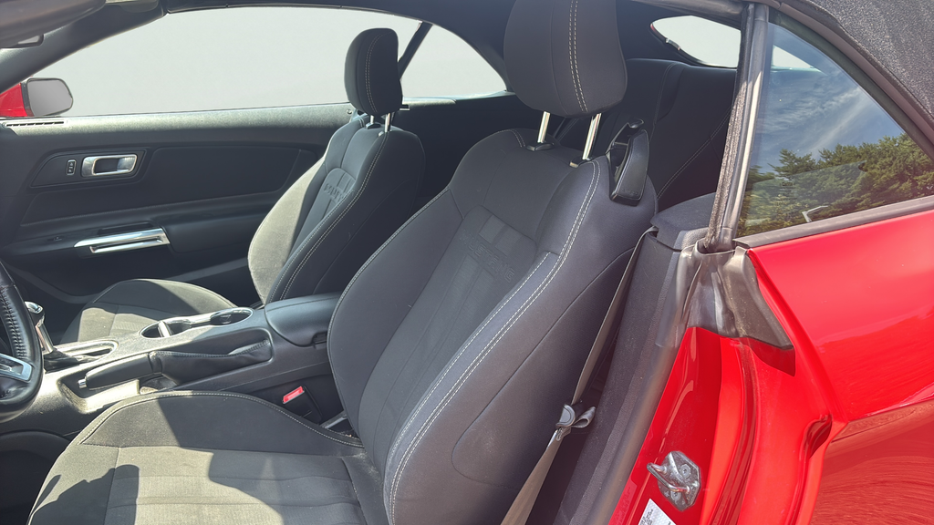 Used 2019 Red Ford EcoBoost image 18